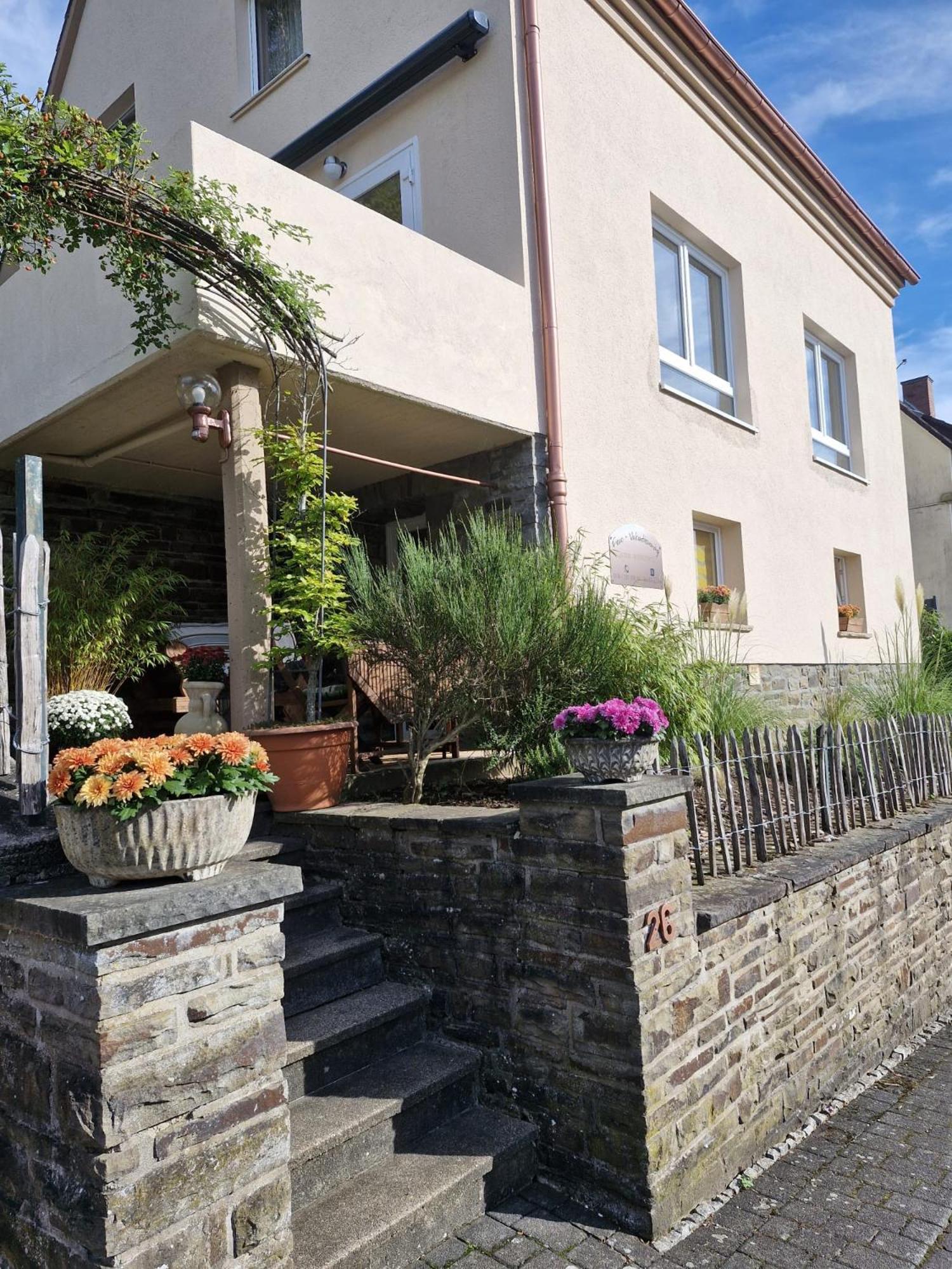 Alter Werkstatt Apartment Junkerath Exterior photo